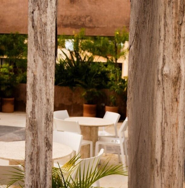 16 de 16: terraza amenidades