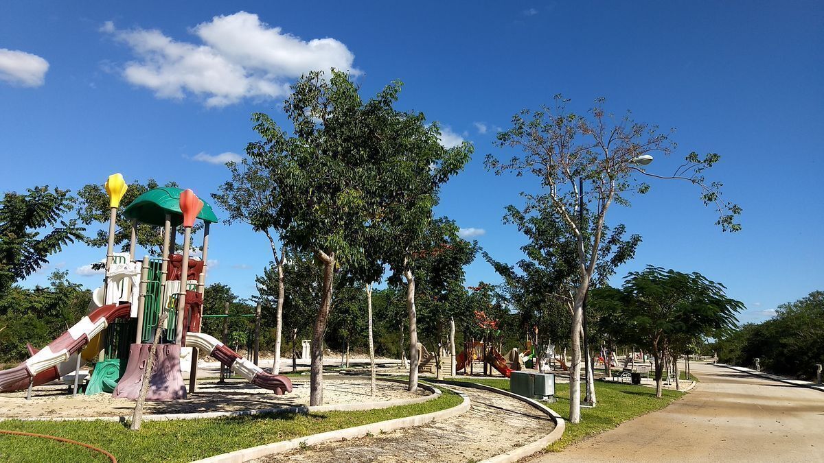 17 de 20