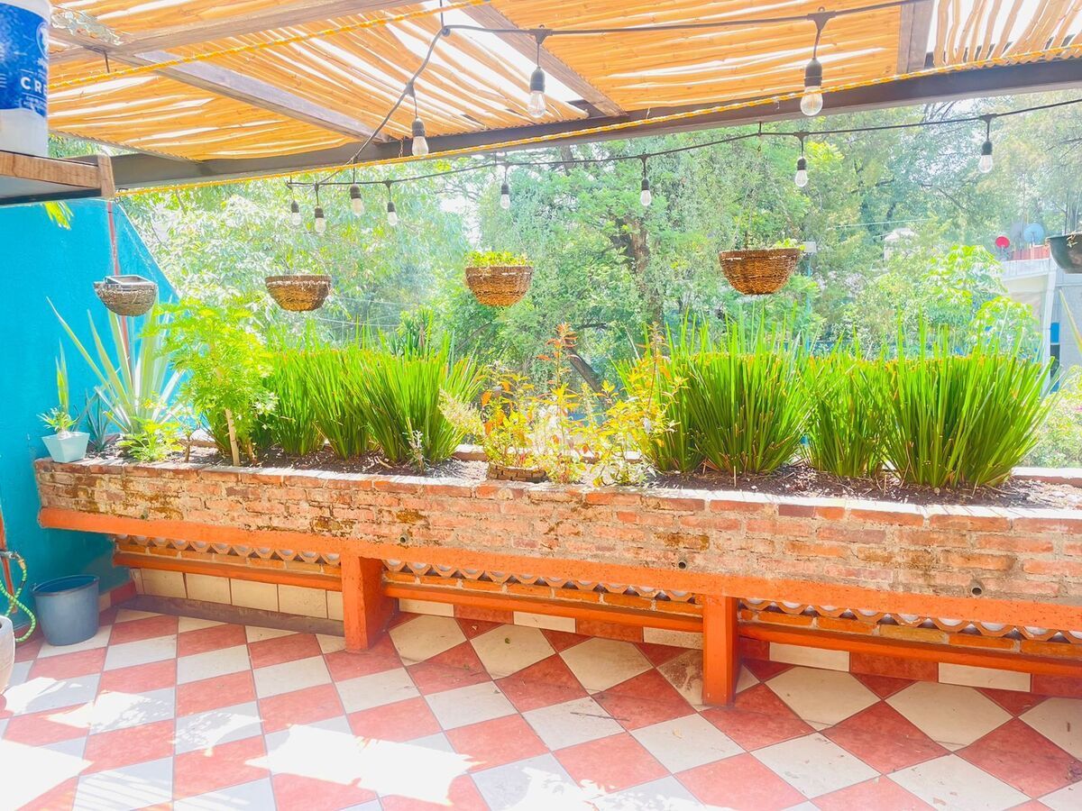 6 of 28: Terraza