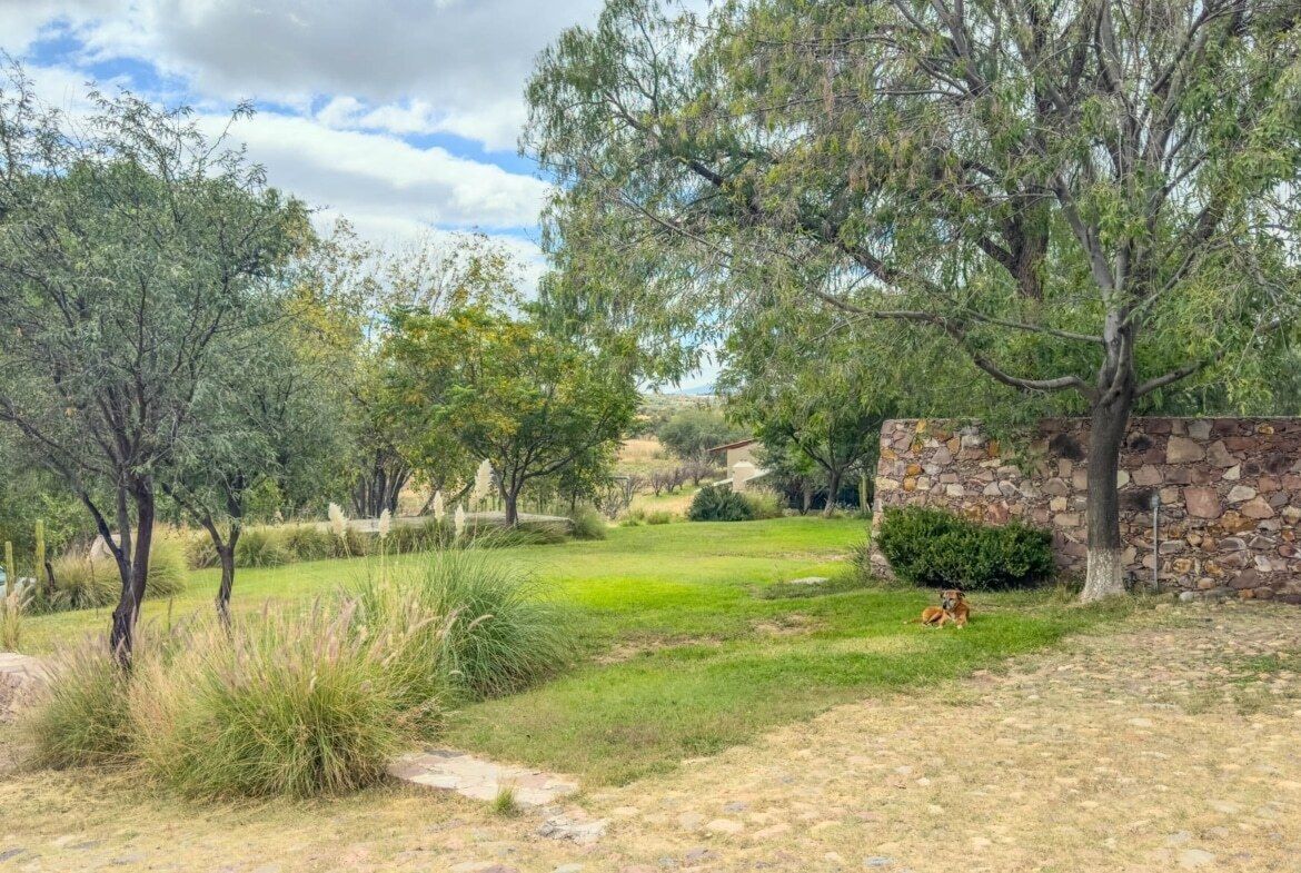 3 de 3
