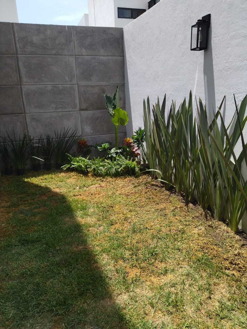 6 of 21: Bonito jardín