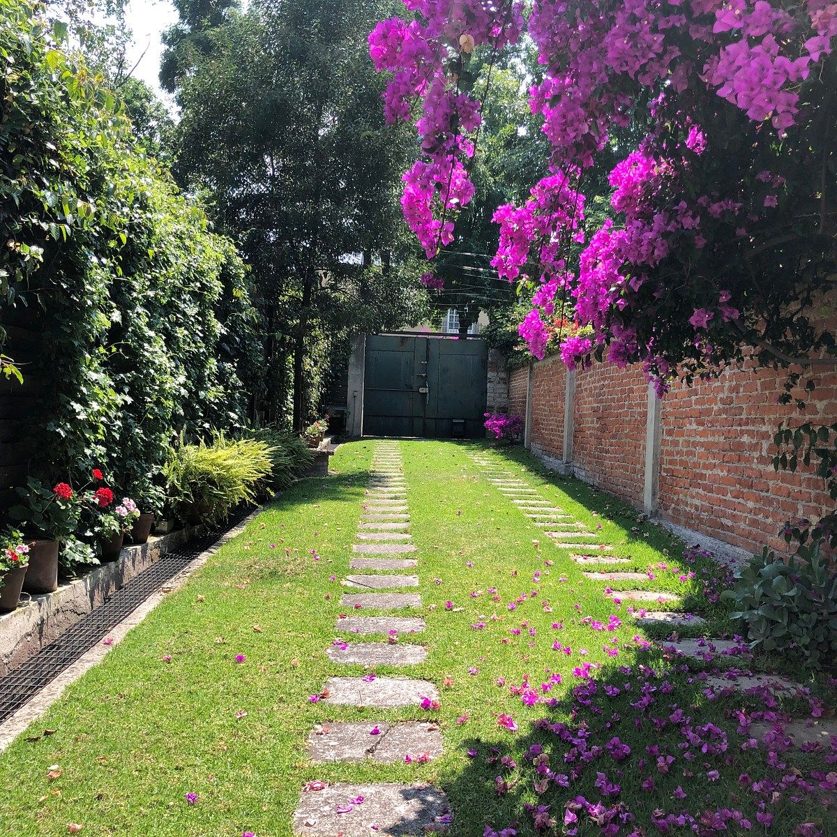 House in Lomas de Virreyes, Miguel Hidalgo, photo 13 of 41