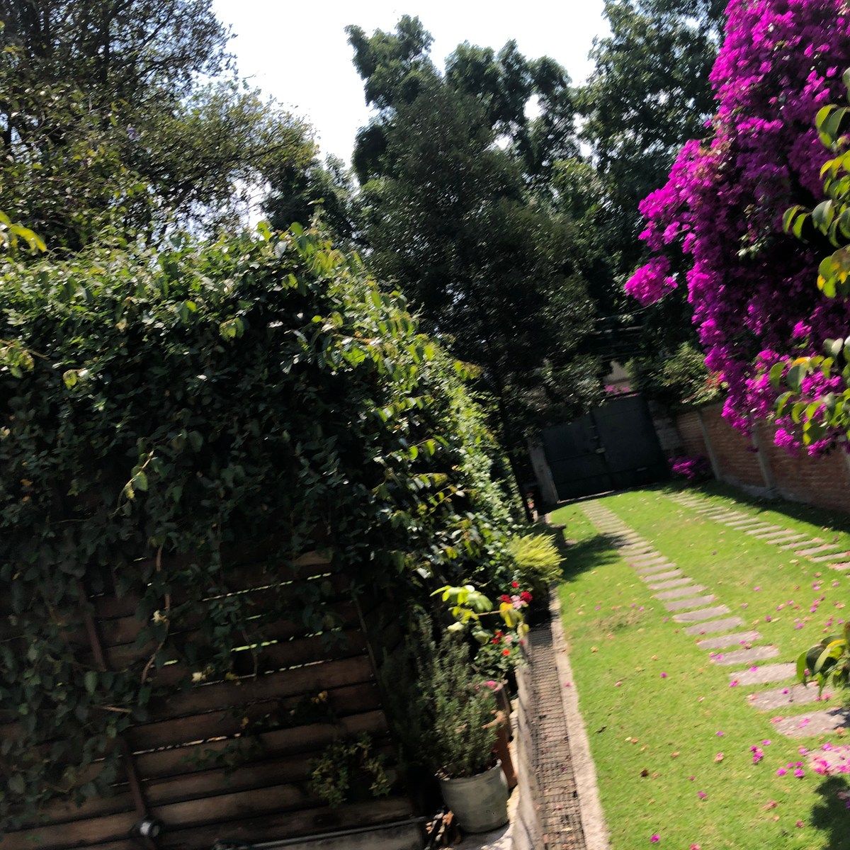 House in Lomas de Virreyes, Miguel Hidalgo, photo 21 of 41
