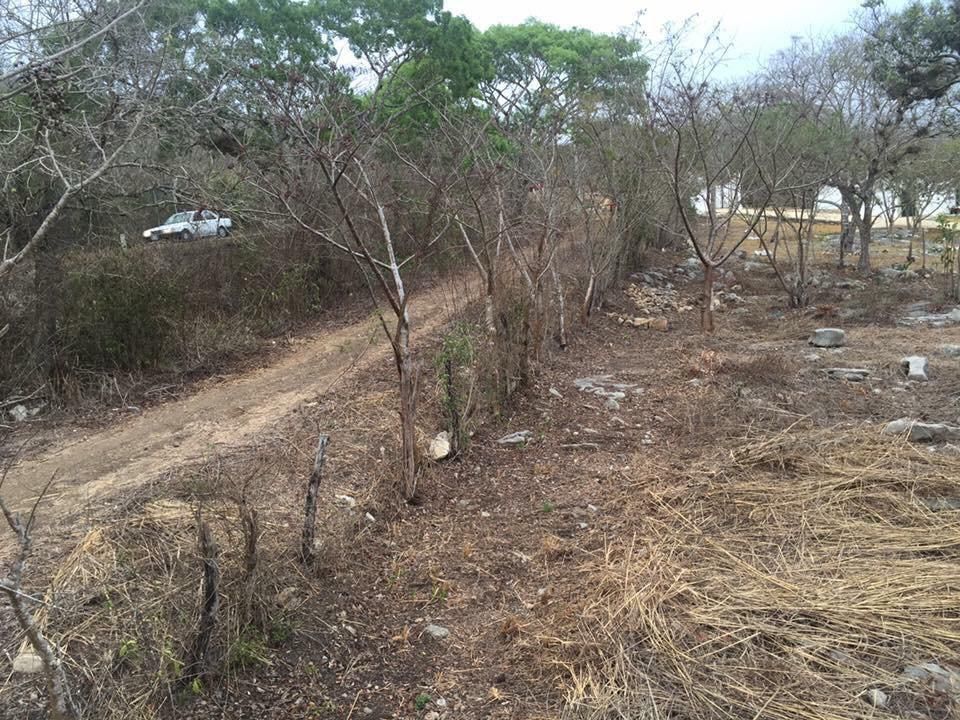 Imagen 3 de 5