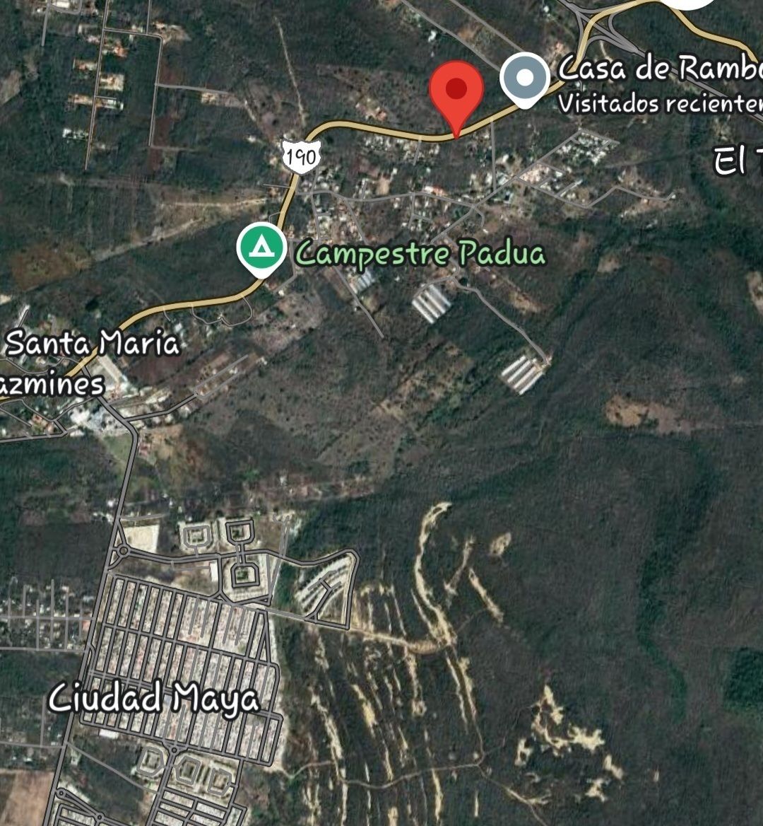 Imagen 2 de 5