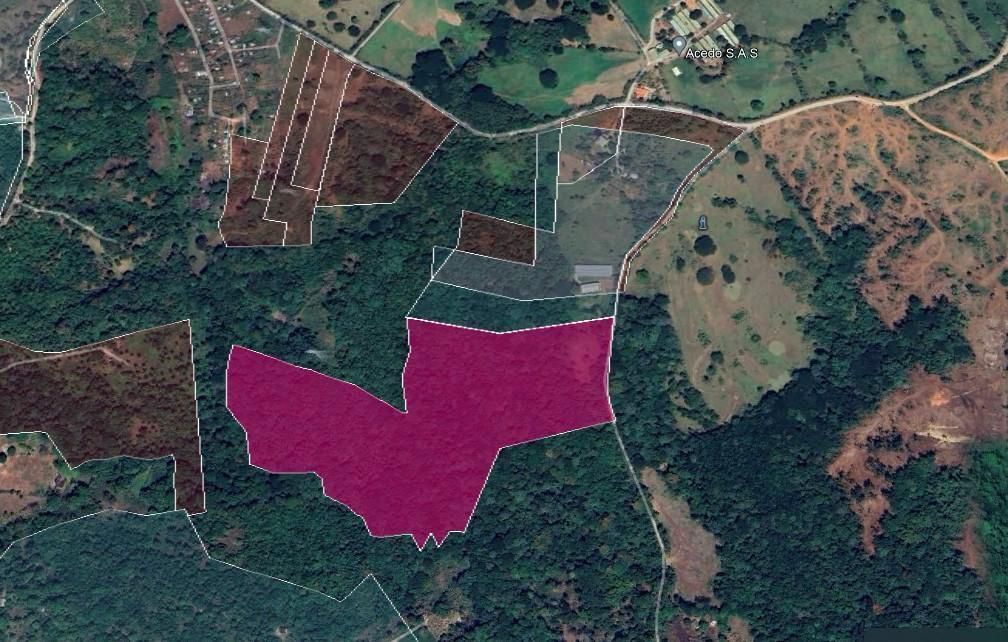 Lot in Pedro Brand