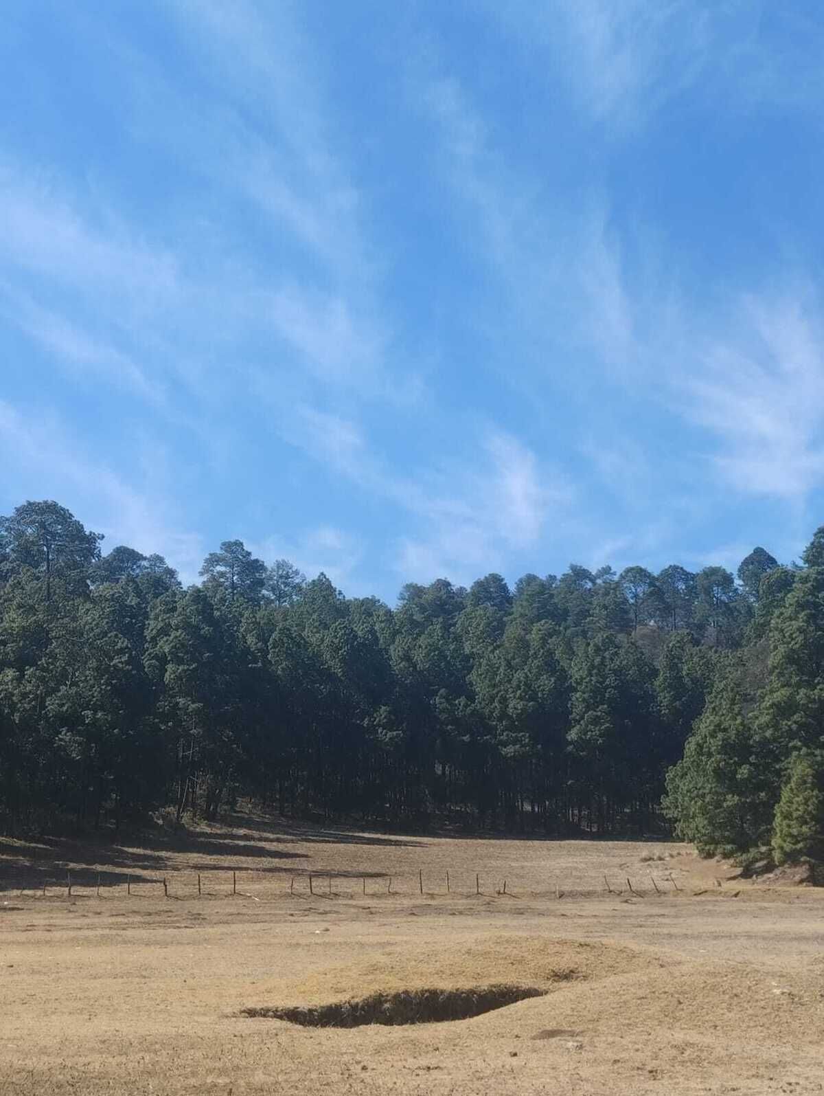 7 de 16