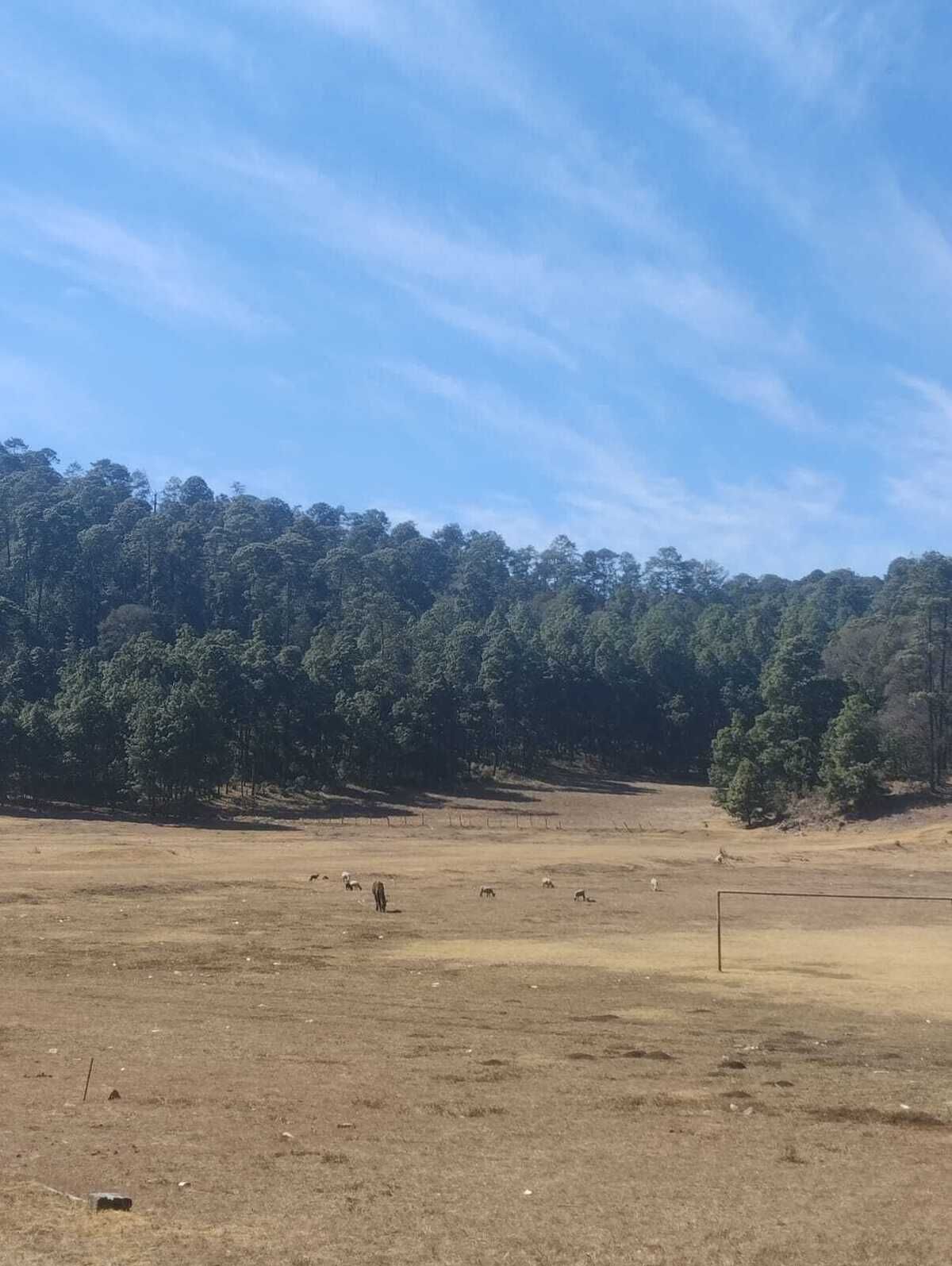 10 de 16