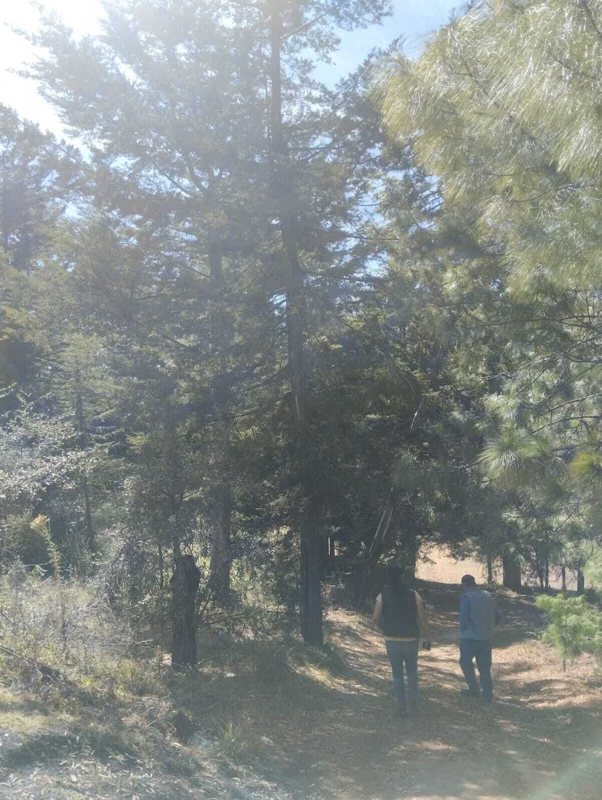 12 de 16