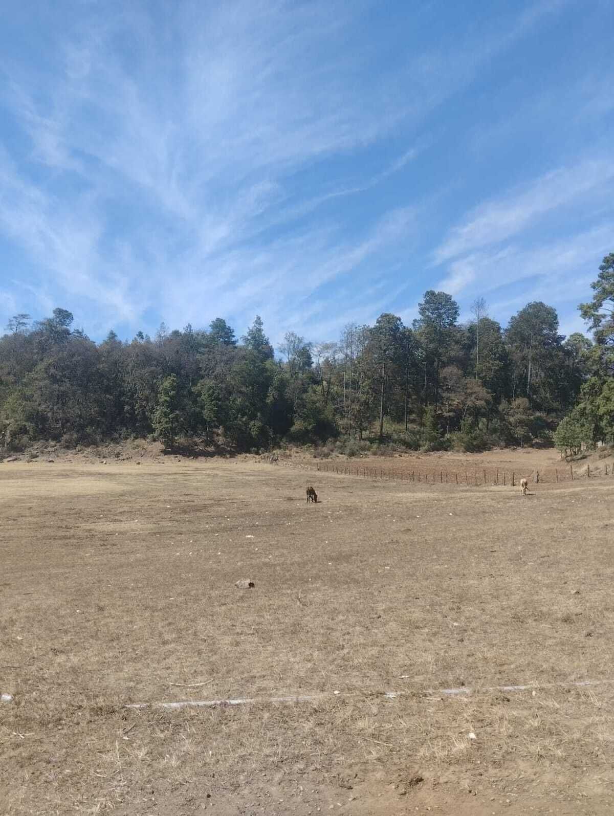 15 de 16