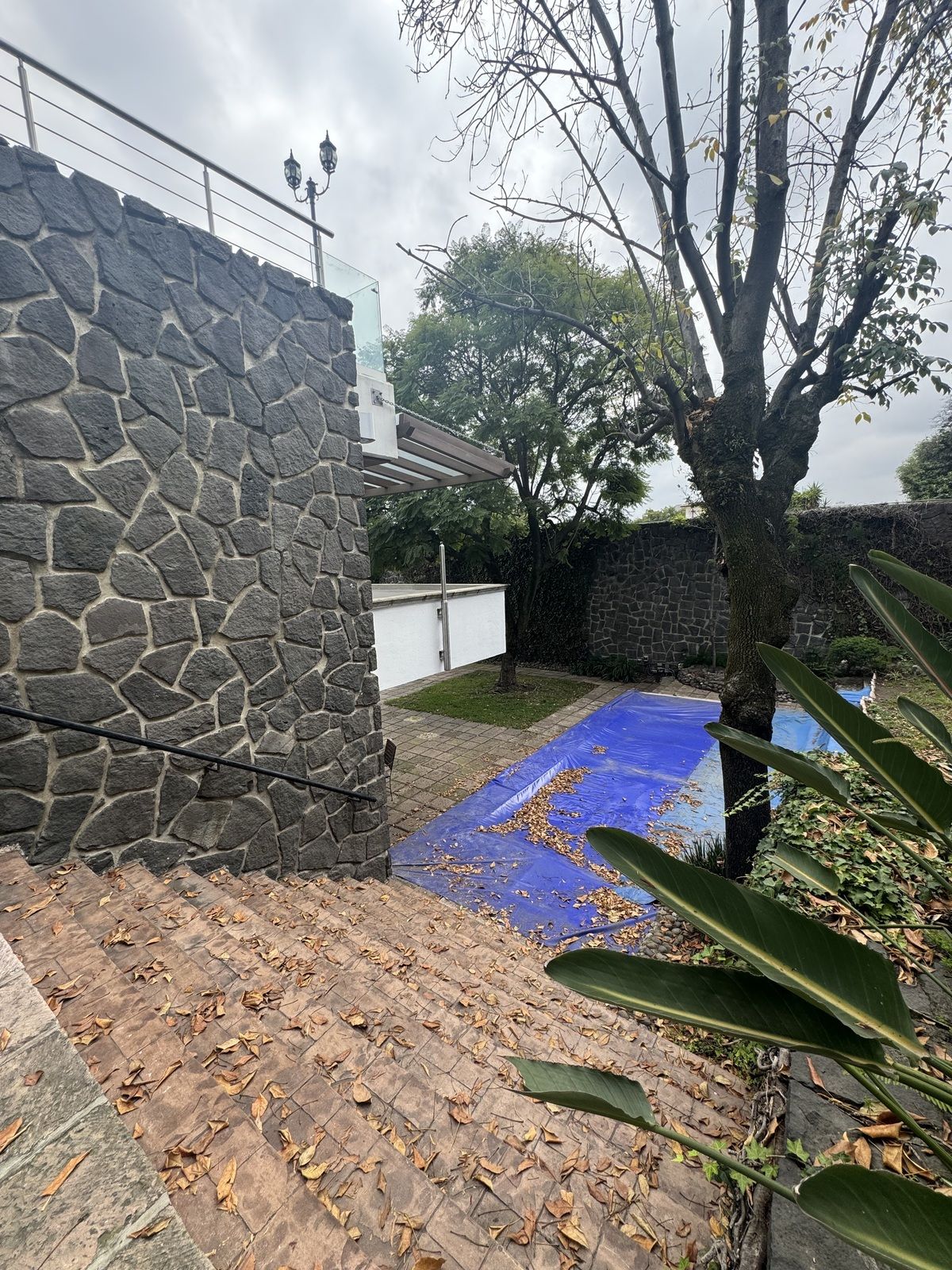 3 de 48: Patios, terrazas, piscina y jardines