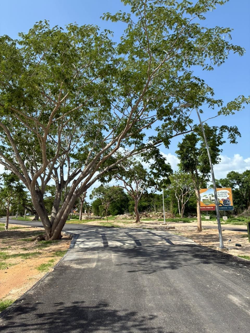 3 de 24