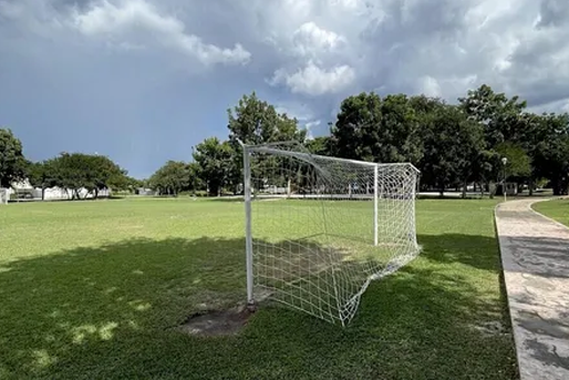 3 de 6