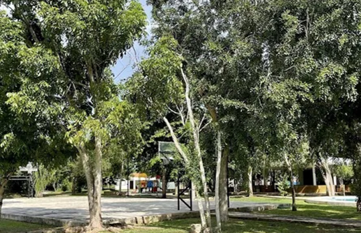 5 de 6