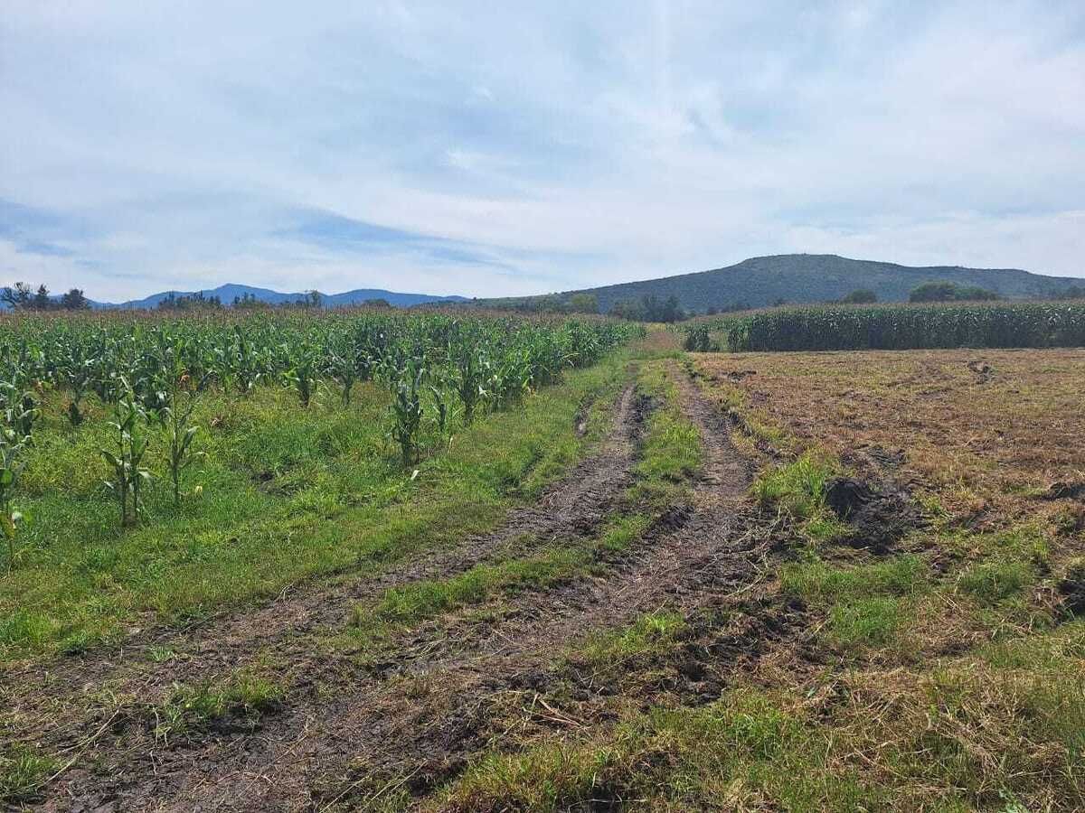Terrenos en venta para siembra en Álvaro Obregón