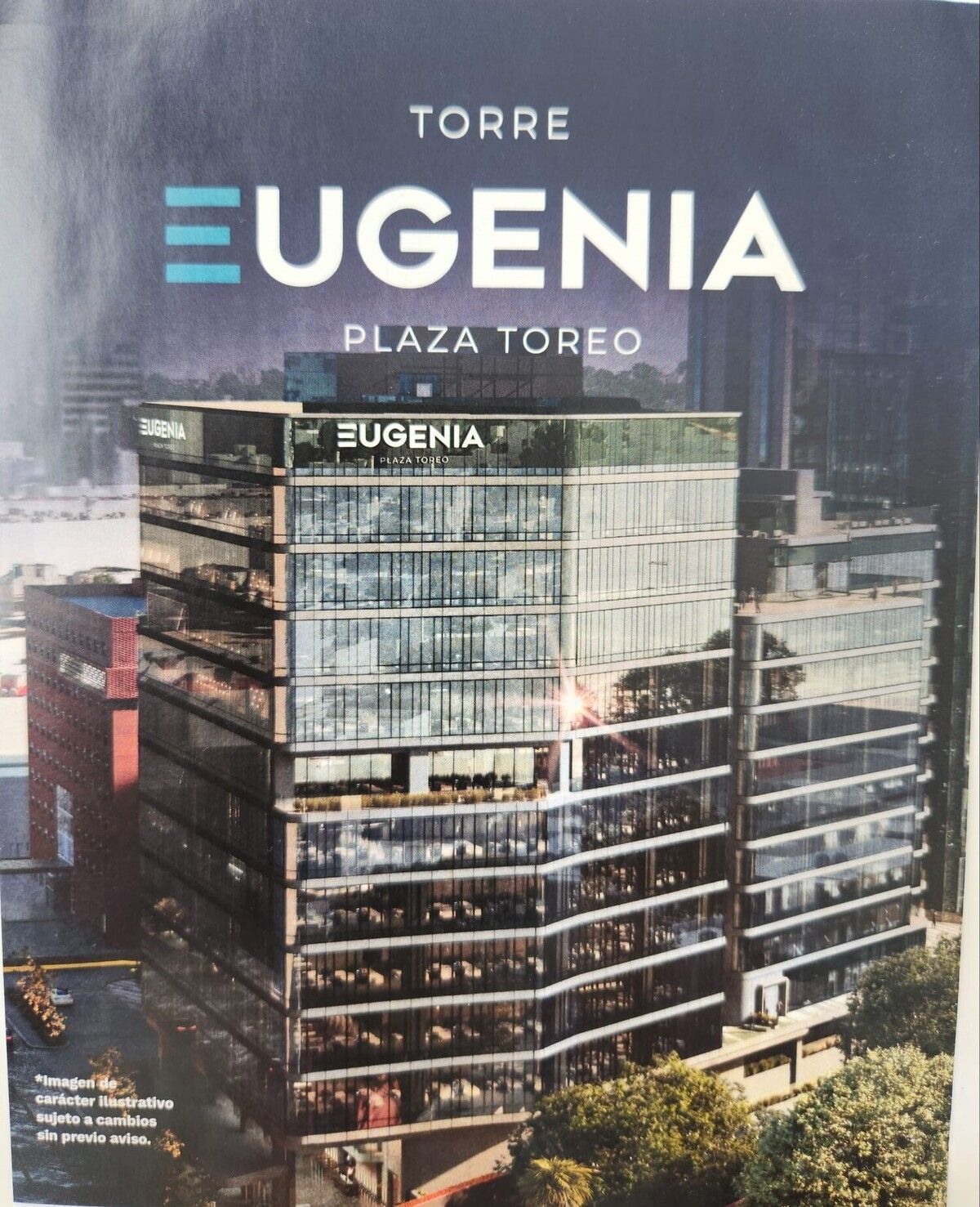 1 de 7