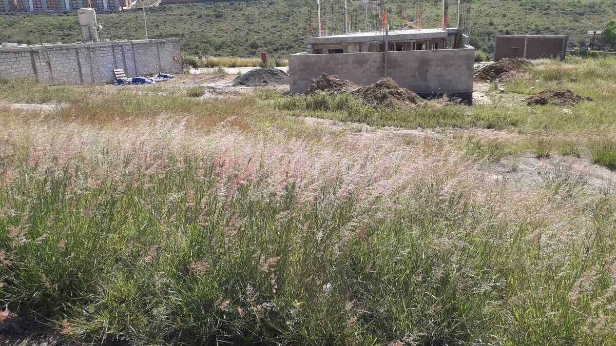 3 de 4