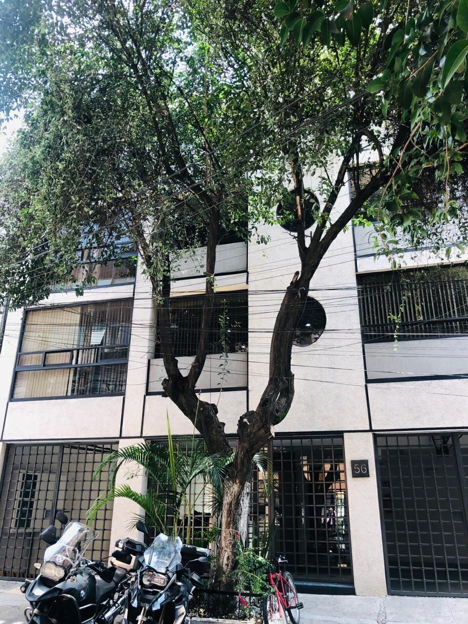 https://assets.easybroker.com/property_images/4837051/82054985/EB-RO7051.jpeg?version=1730771002