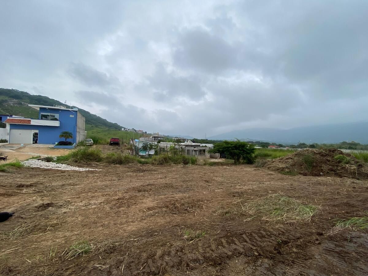 Imagen 4 de 7