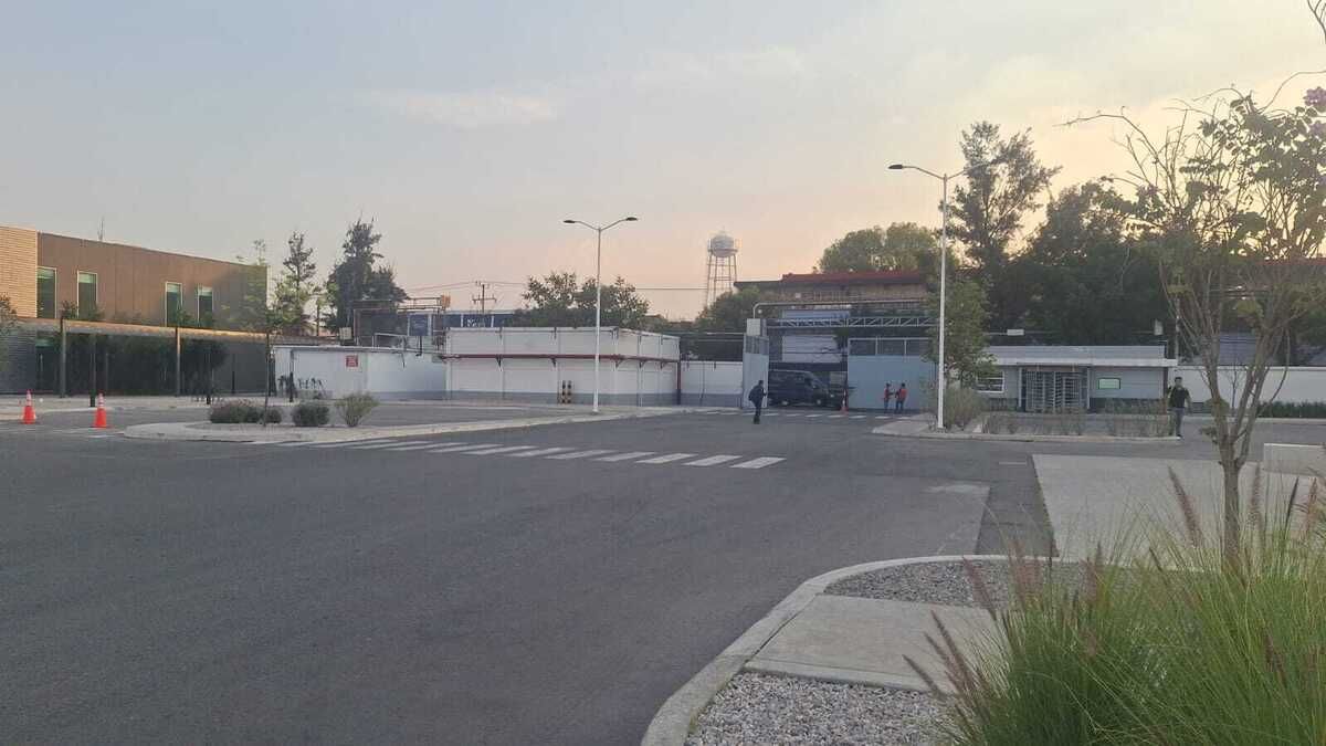 4 de 8