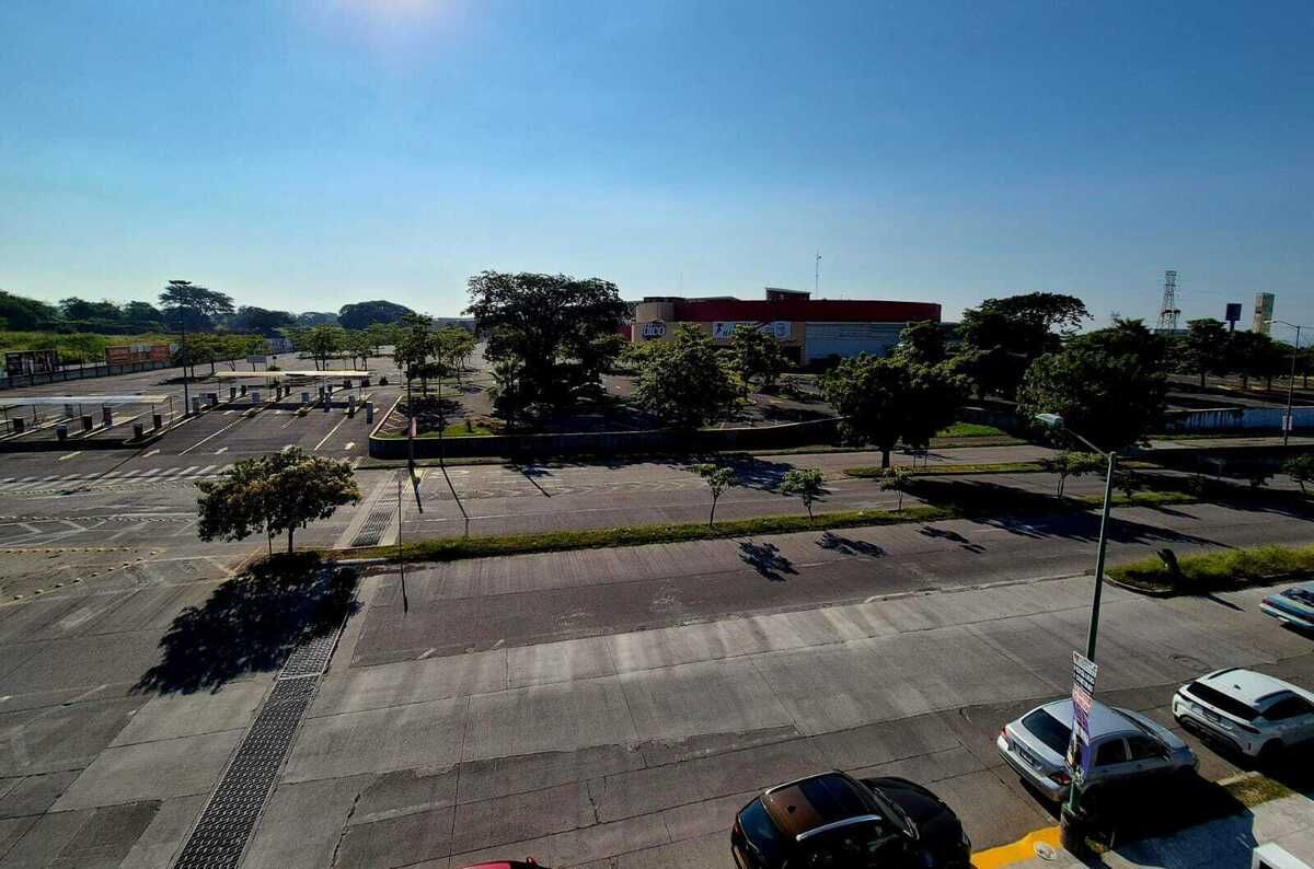 Imagen 7 de 8