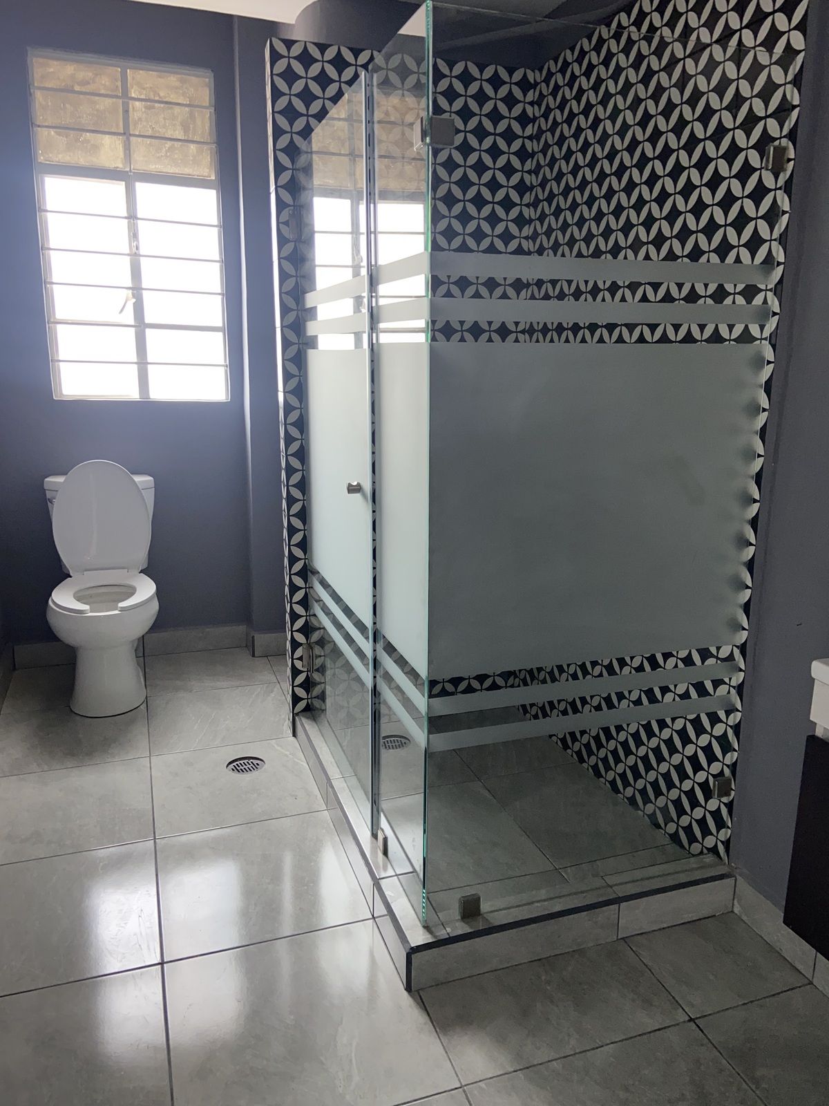 84, Sinaloa, Roma Norte, 06700