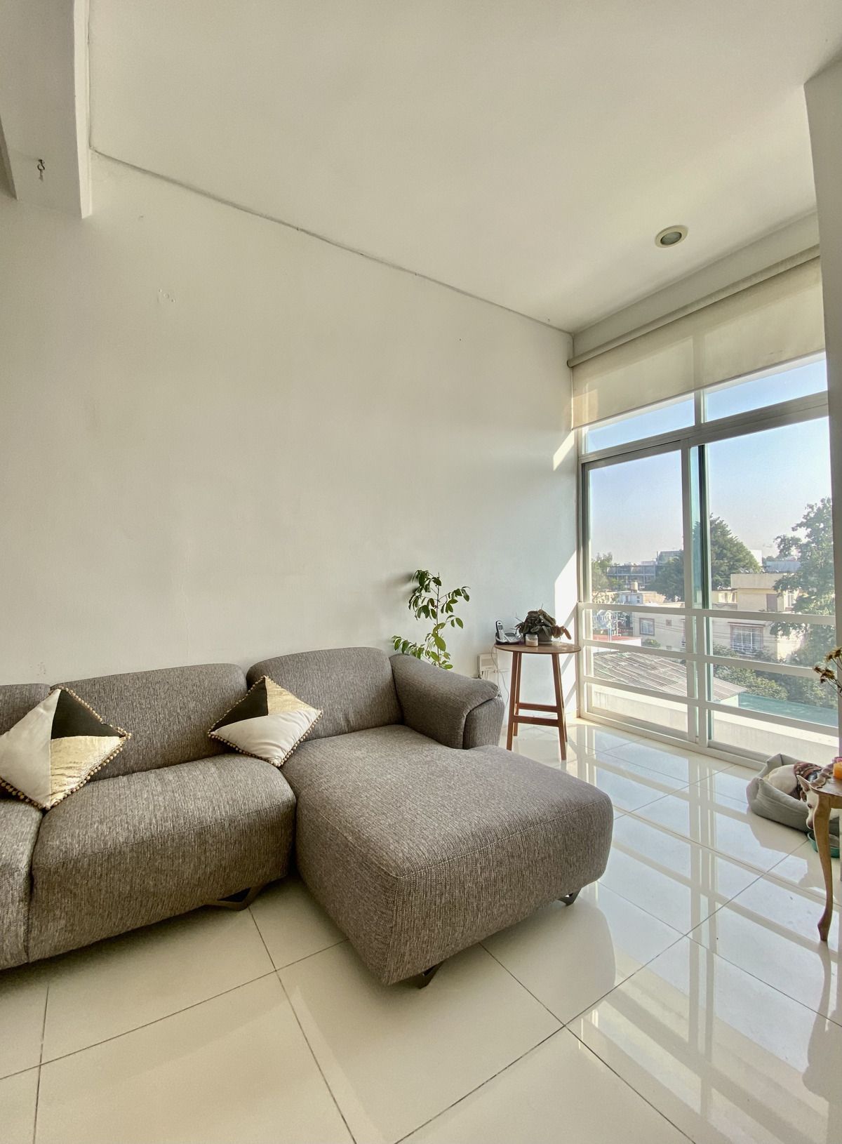https://assets.easybroker.com/property_images/4839423/82145117/EB-RO9423.jpg?version=1730940696