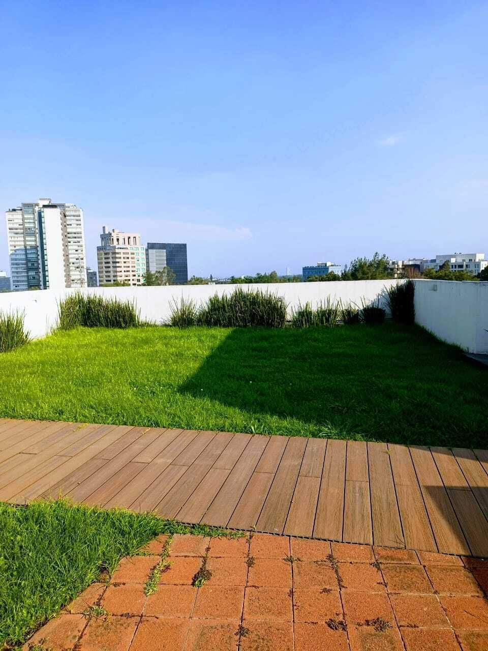 2 de 31: Pasto natural