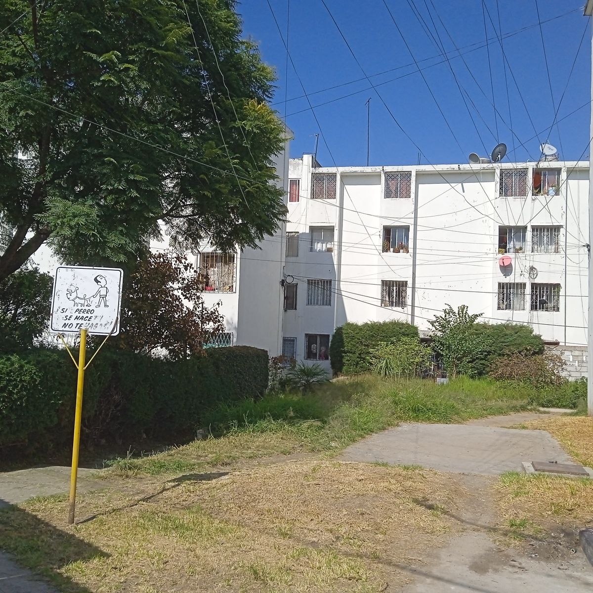 https://assets.easybroker.com/property_images/4840085/82111699/EB-RP0085.jpg?version=1730909650