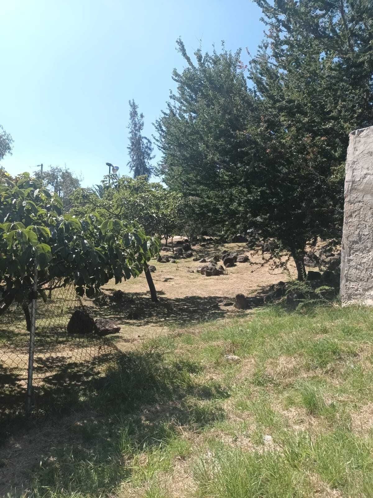 Land for sale - foto 5