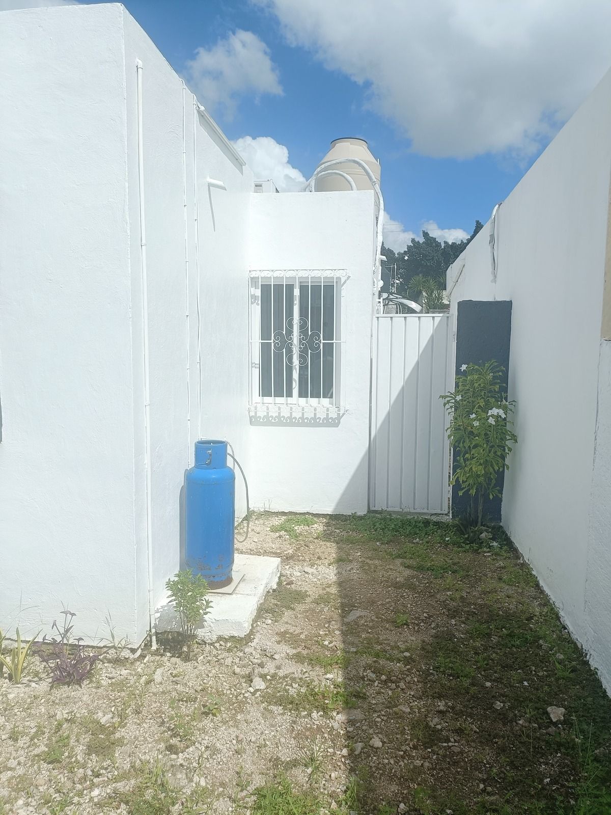 11 de 11