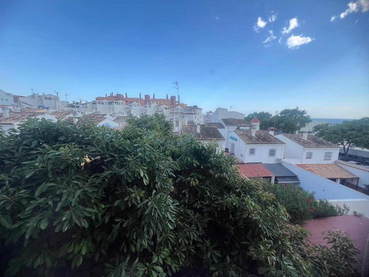 15 de 24: Vista