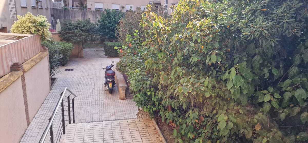 19 de 24: Acceso al edificio