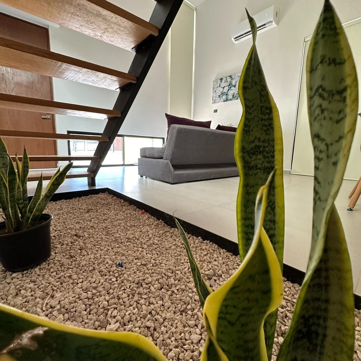 Venta de villas en Mérida, Yucatán. al norte de la ciudad - foto 4