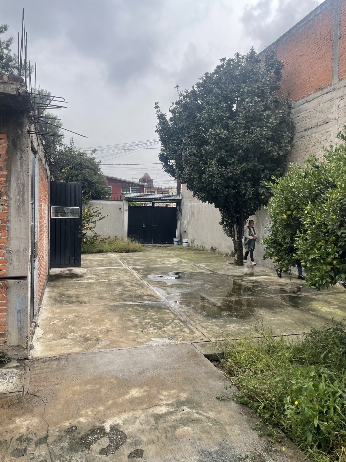 Imagen 4 de 7