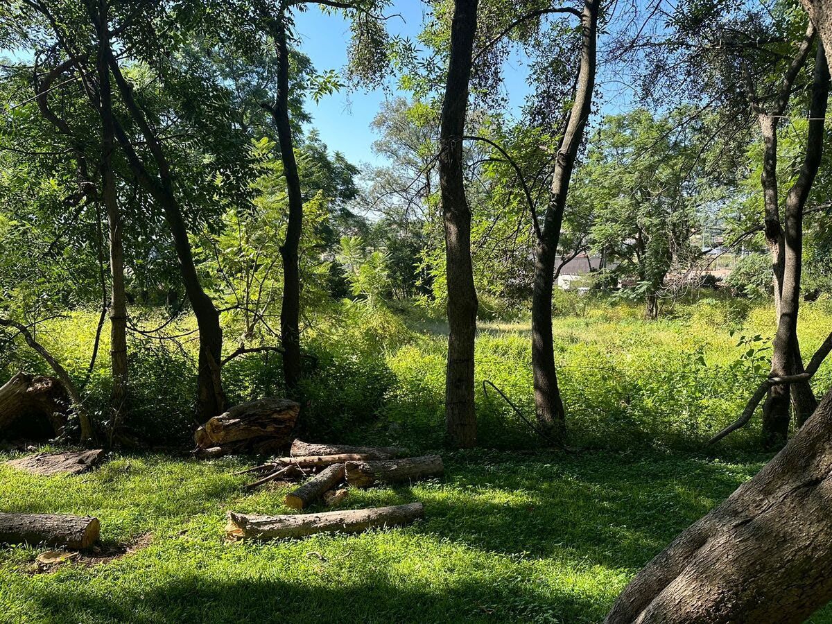 Terrenos en Venta en Matatlan en Tonala, Jalisco