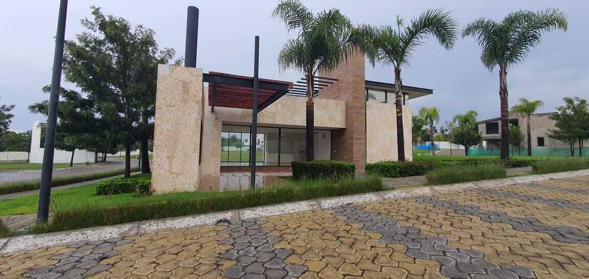 Imagen 2 de 5