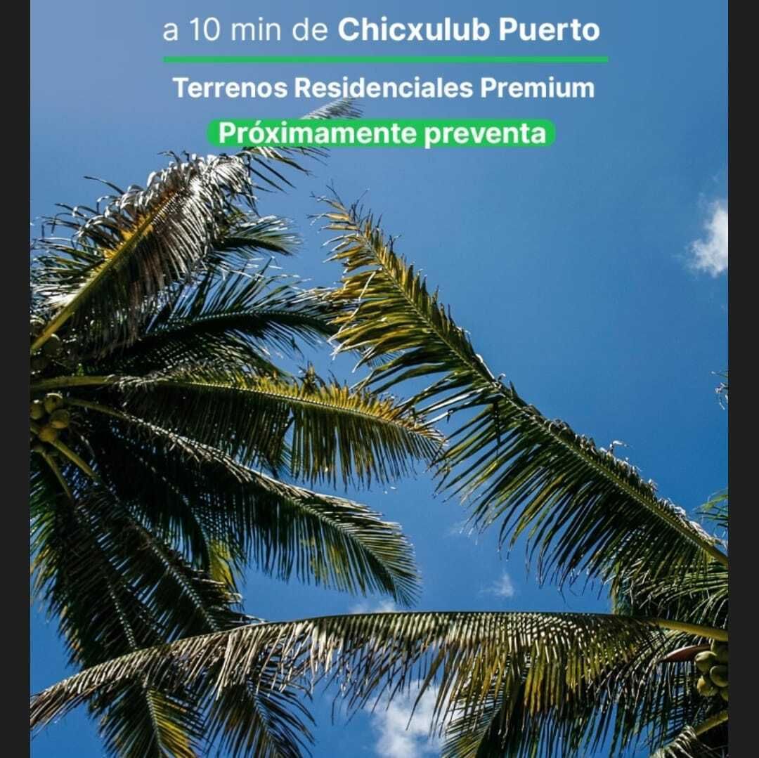 5 de 10
