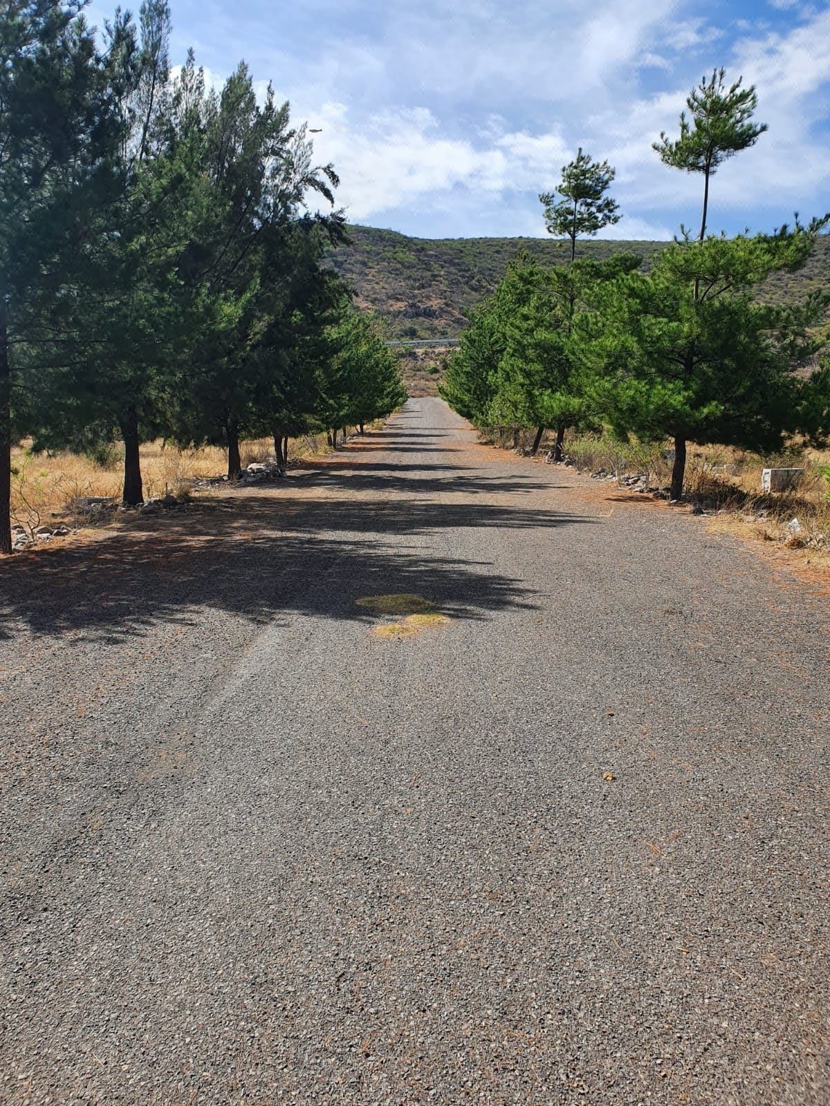 Terreno venta uso mixto en santa rosa jauregui, camino a ex hacienda montenegro