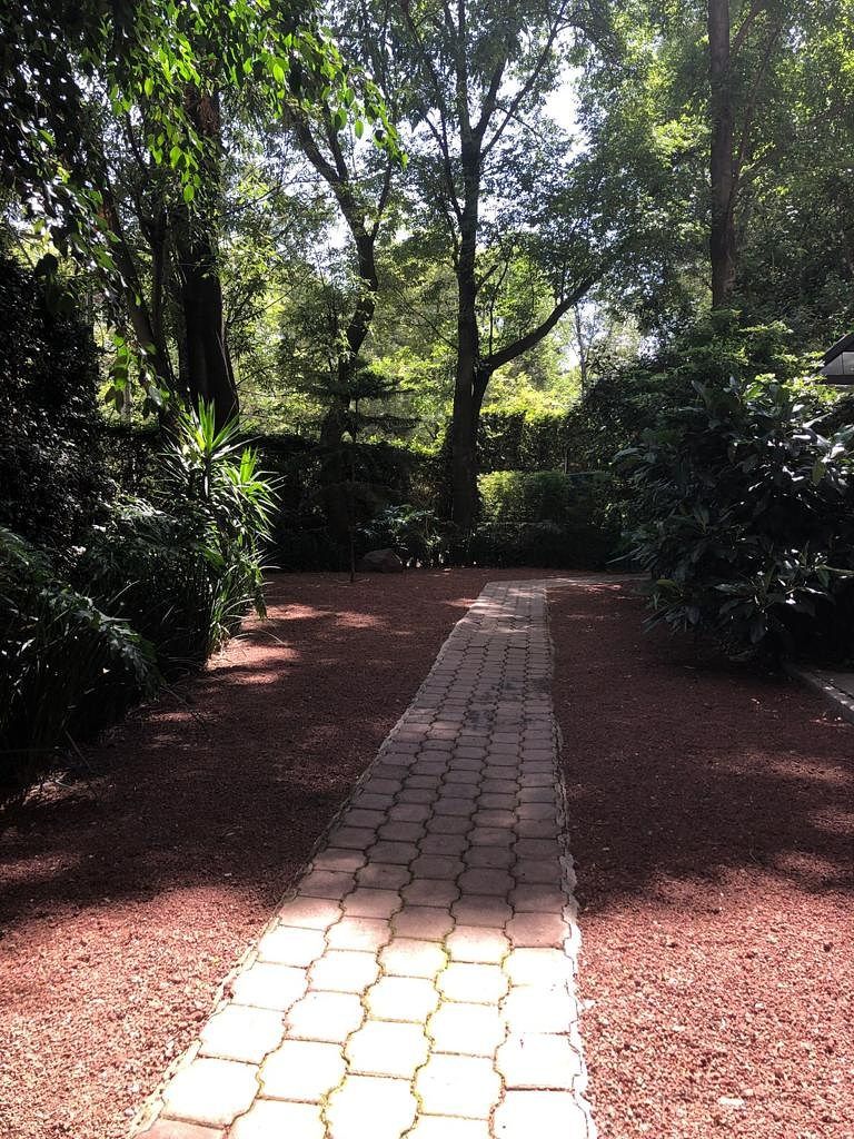 Departamento en Lomas de Chapultepec I Sección, Miguel Hidalgo, foto 42 de 47