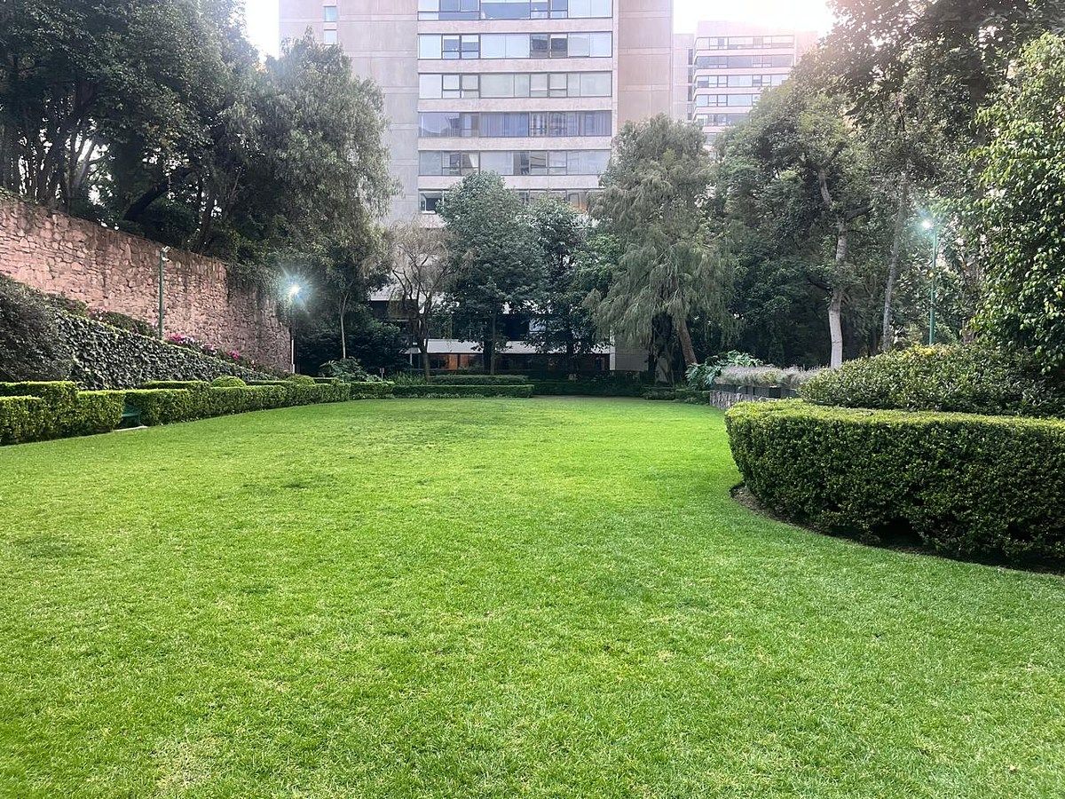Departamento en Lomas de Chapultepec I Sección, Miguel Hidalgo, foto 44 de 47