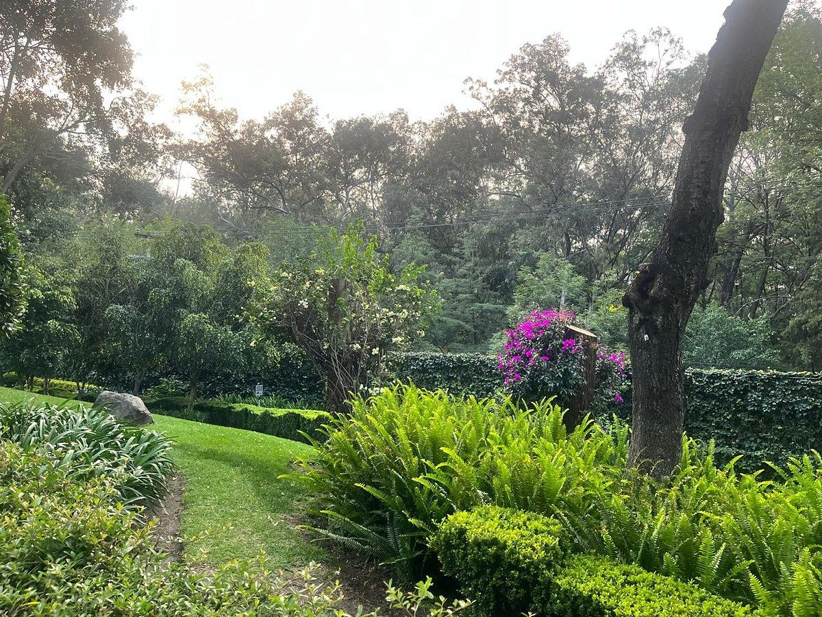 Departamento en Lomas de Chapultepec I Sección, Miguel Hidalgo, foto 43 de 47