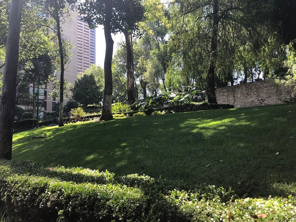 Departamento en Lomas de Chapultepec I Sección, Miguel Hidalgo, foto 46 de 47