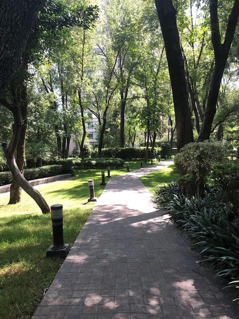 Departamento en Lomas de Chapultepec I Sección, Miguel Hidalgo, foto 47 de 47