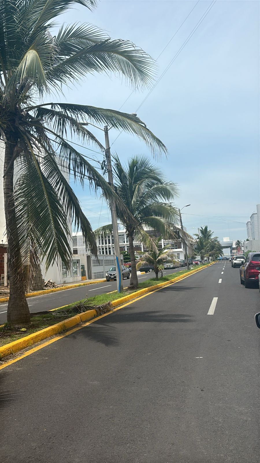 3 de 15