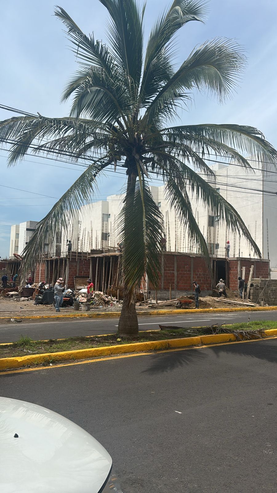 2 de 15
