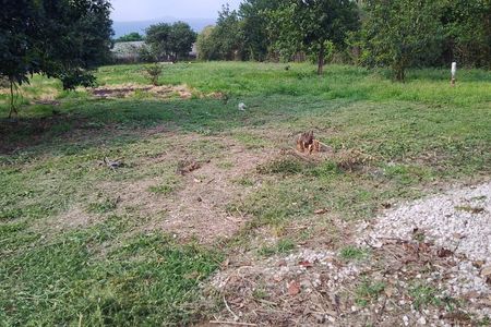 TERRENO À VENDA TLAYACAPAN, MORELOS