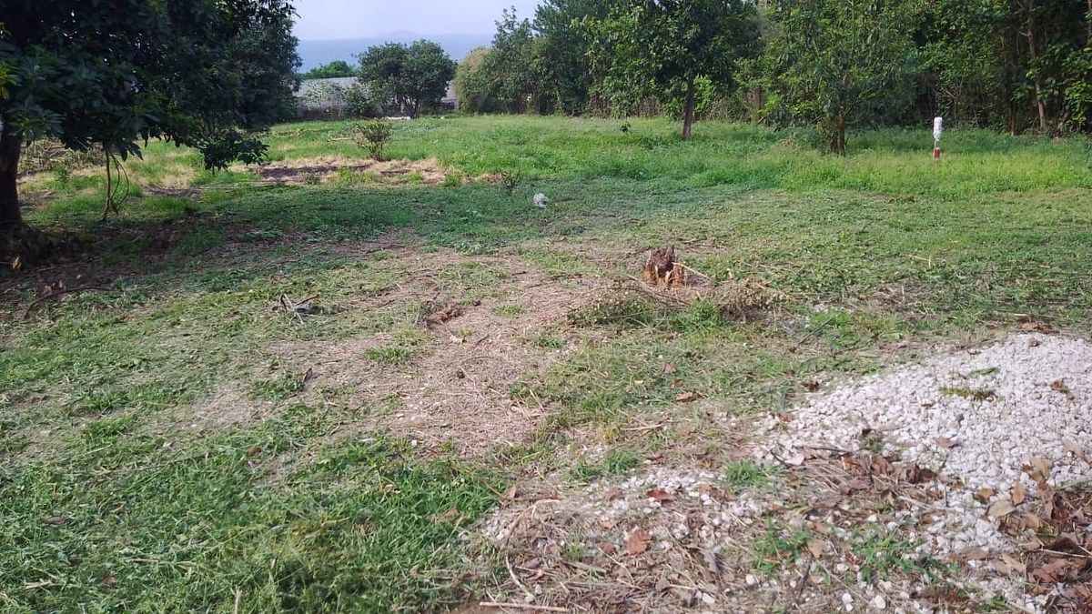Lote em Tlayacapan Centro, Tlayacapan, foto 7 de 13