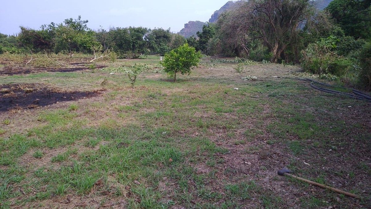 Lote em Tlayacapan Centro, Tlayacapan, foto 5 de 13