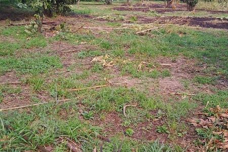 TERRENO À VENDA TLAYACAPAN, MORELOS